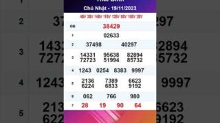 Xổ Số Thái Bình 19/11/2023 – XSTB 19/11 – XSMB